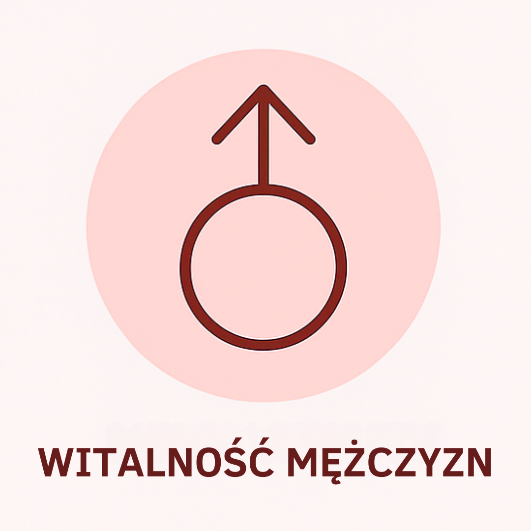 Witalność Mężczyzn
