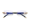 VisionPro - PL