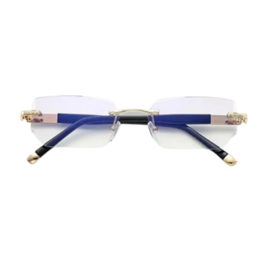VisionPro - PL